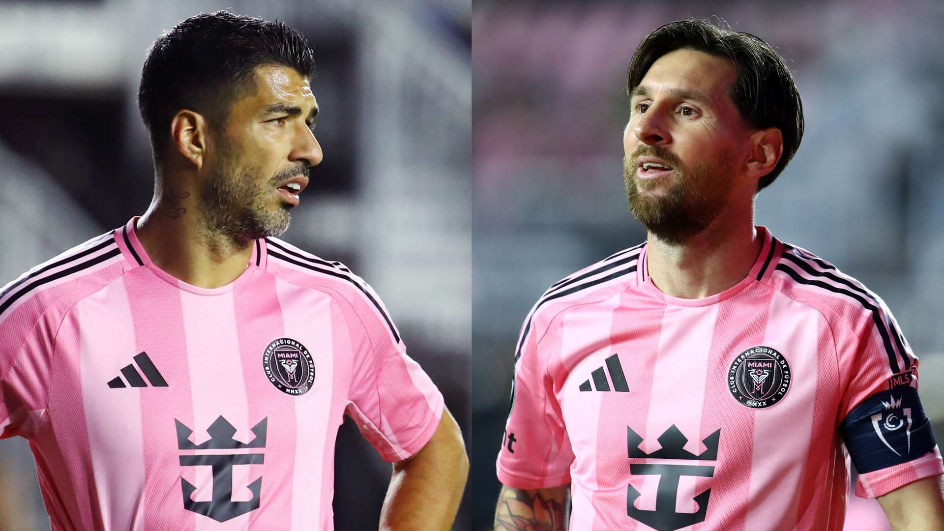 也是在彰显 也是在彰显